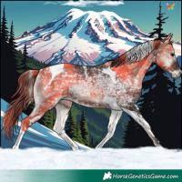 Horse Color:Blue Onyx Ice Tobiano 