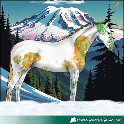 Horse Color:Painted Watercolor Black Ice Splash Tobiano