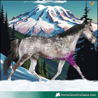 Horse Color:Blue Onyx Ice 