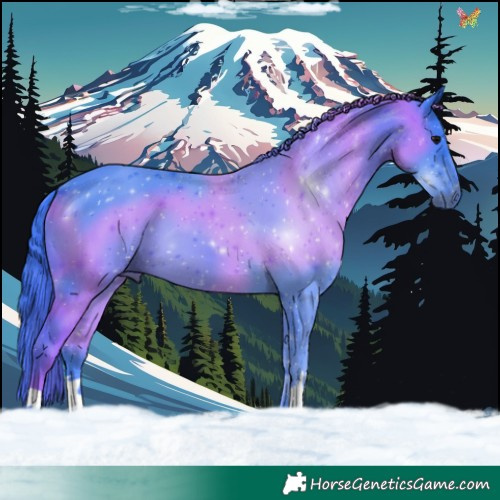 Horse Color:Watercolor Black