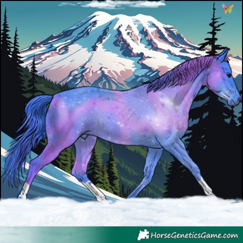 Horse Color:Watercolor Black 