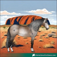 Horse Color:Gray Bay Dun