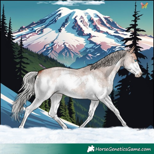 Horse Color:Silver Bay Roan Dun Mushroom Splash 