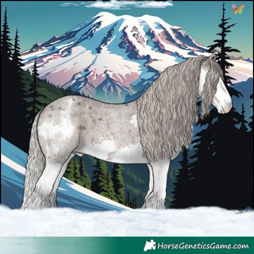 Horse Color:Silver Blue Roan Sabino Splash 