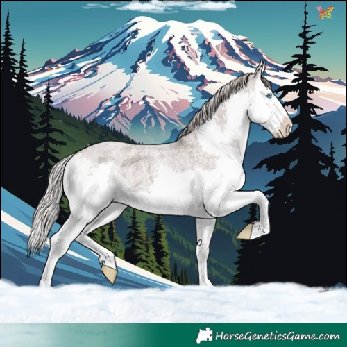 Horse Color:Silver Blue Roan Splash 