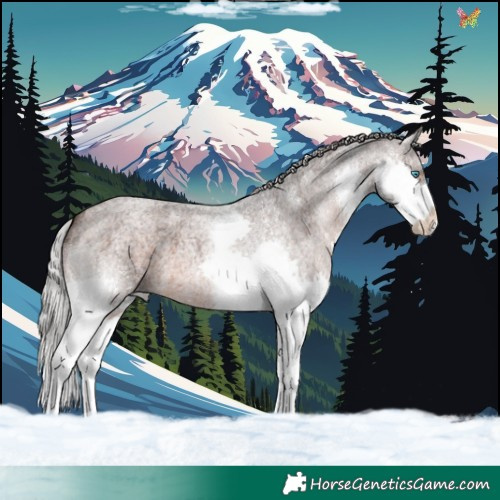 Horse Color:Silver Brown Roan Mushroom Splash 