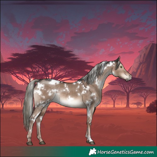 Horse Color:White Spotted Liver Red Dun Mushroom Rabicano 