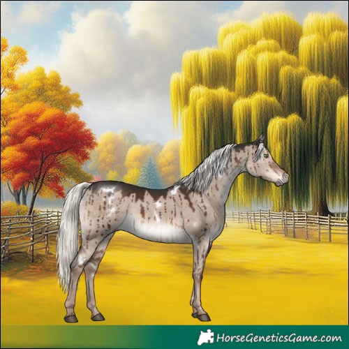 Horse Color:White Spotted Liver Red Dun Mushroom Rabicano Brindle