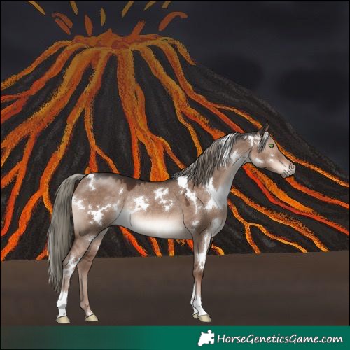 Horse Color:White Spotted Liver Red Dun Mushroom Rabicano