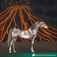 Horse Color:White Spotted Liver Red Dun Mushroom Rabicano 