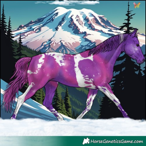 Horse Color:Watercolor Black Tobiano