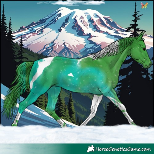 Horse Color:Watercolor Black Tobiano 