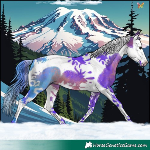 Horse Color:Watercolor Brown Splash Tobiano 