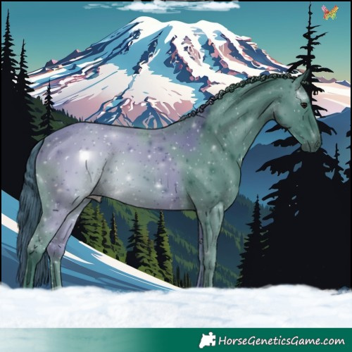 Horse Color:Watercolor Black 