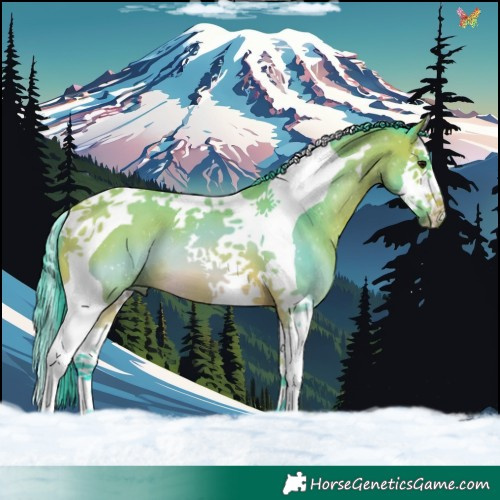 Horse Color:Watercolor Bay Splash Tobiano