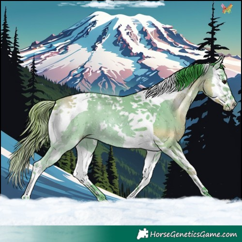 Horse Color:Watercolor Bay Splash Tobiano 