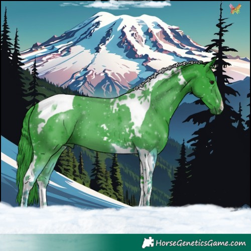 Horse Color:Watercolor Black Tobiano 