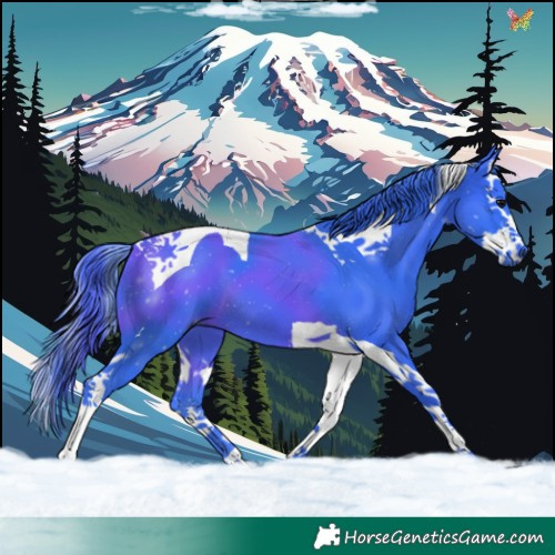 Horse Color:Watercolor Black Splash Tobiano