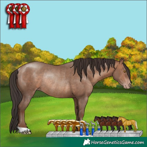 Horse Color:Sable Champagne Rabicano 