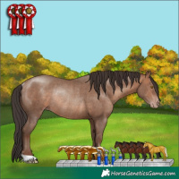 Horse Color:Sable Champagne Rabicano