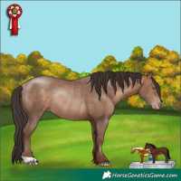 Horse Color:Sable Champagne Rabicano 