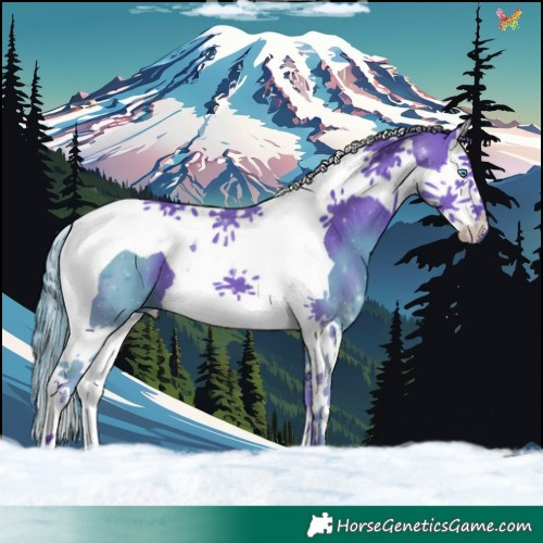 Horse Color:Watercolor Black Splash Tobiano 