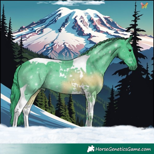 Horse Color:Watercolor Black Tobiano 