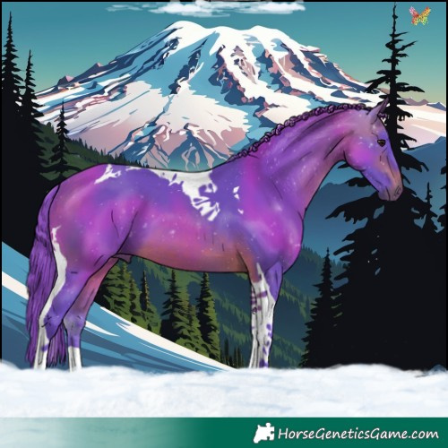 Horse Color:Watercolor Brown Tobiano 