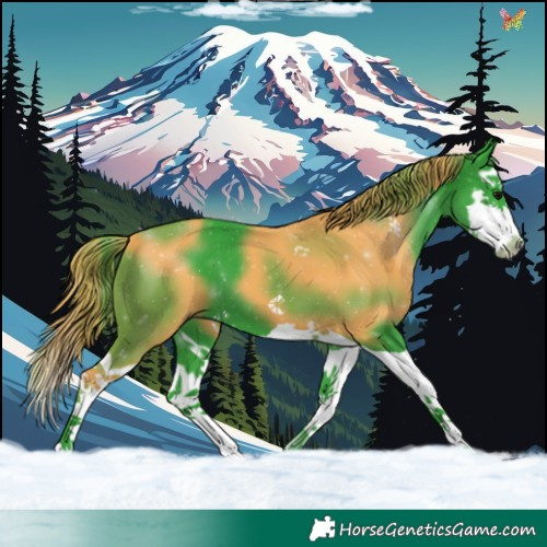 Horse Color:Watercolor Black Splash 