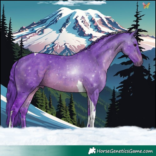 Horse Color:Watercolor Bay Tobiano 