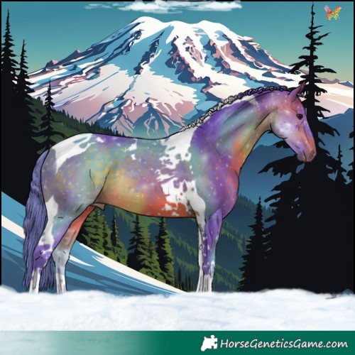 Horse Color:Watercolor Bay Tobiano 