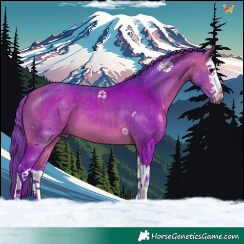Horse Color:Watercolor Bay Splash 