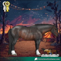 Horse Color:Brown Rabicano 