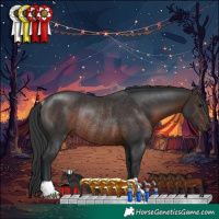 Horse Color:Brown Rabicano