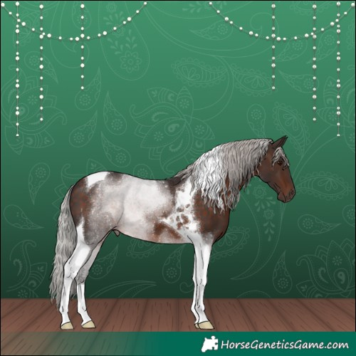 Horse Color:Silver Brown Tobiano