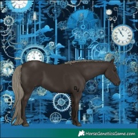 Horse Color:Liver Chestnut Mushroom 