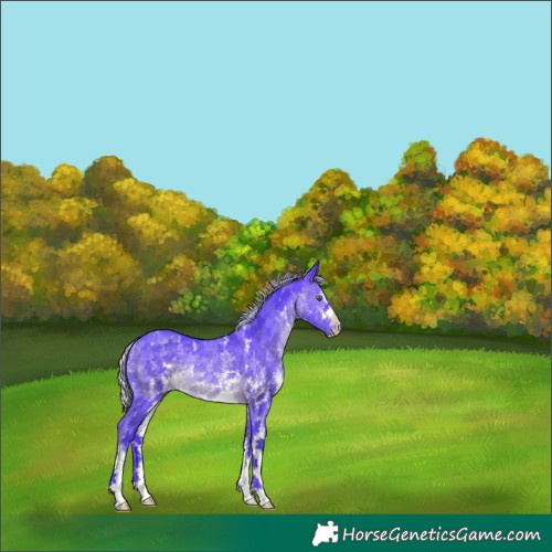 Horse Color:Watercolor Chocolate Silver Brown Chinchilla Sabino Rabicano 