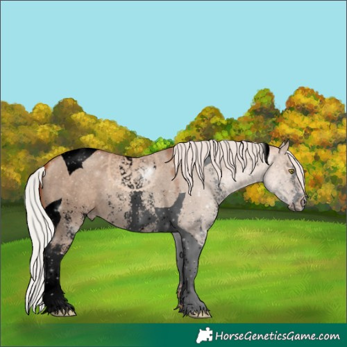 Horse Color:Void Silver Sable Champagne Dun Sabino Tobiano 
