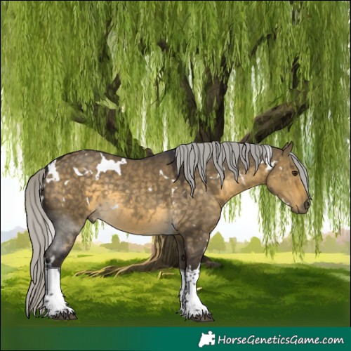 Horse Color:White Spotted Silver Buckskin Dun Tobiano 