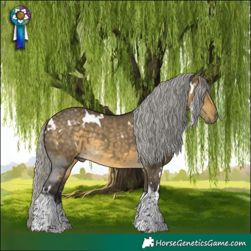 Horse Color:White Spotted Silver Buckskin Dun Tobiano 
