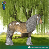 Horse Color:White Spotted Silver Buckskin Dun Tobiano