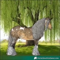 Horse Color:White Spotted Silver Buckskin Dun Tobiano