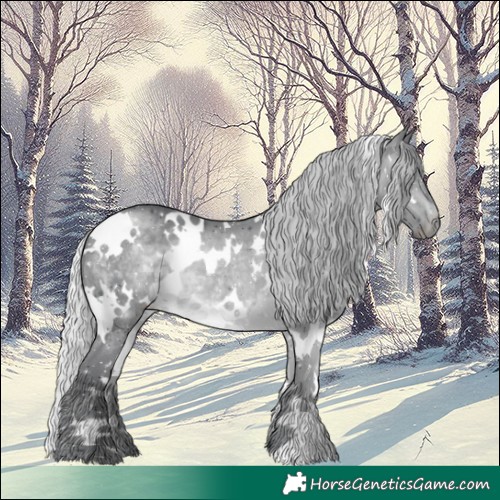 Horse Color:White Spotted Silver Brown Chinchilla 