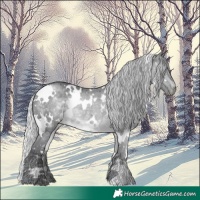 Horse Color:White Spotted Silver Brown Chinchilla