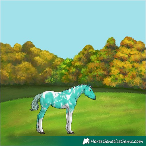 Horse Color:Gray Watercolor White Spotted Liver Chestnut Tobiano 