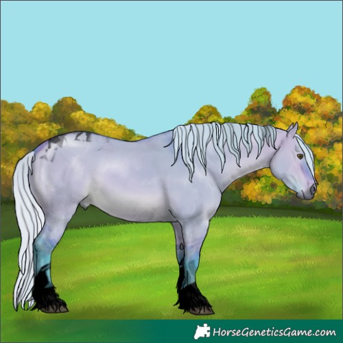 Horse Color:Void Watercolor Silver Bay Dun Tobiano 