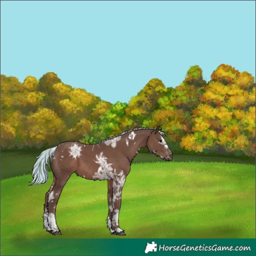 Horse Color:Painted White Spotted Silver Black Ice Splash 