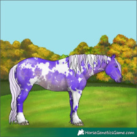 Horse Color:Watercolor White Spotted Silver Brown Chinchilla Rabicano 