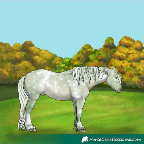 Horse Color:Watercolor White Spotted Silver Brown Chinchilla Ice Dun 