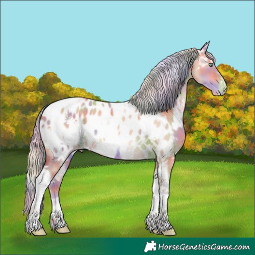 Horse Color:Nacre White Spotted Silver Sable Champagne Ice Dun Tobiano Near Leopard 